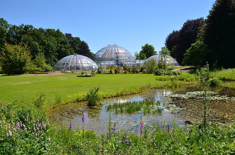Alt text: Botanical Garden Zurich with green lawns, ponds, and glass greenhouse domes