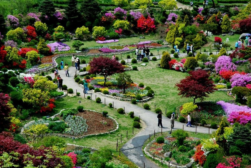 Lễ Hội Mùa Xuân Garden of Morning Calm