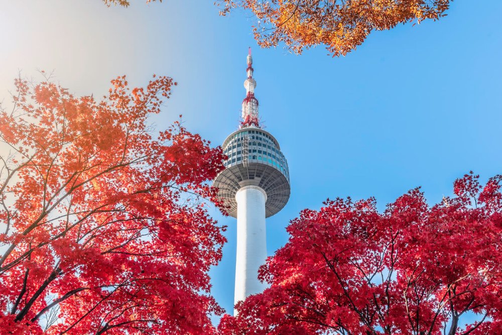 Tuyến Xe Buýt Liên Tỉnh Từ Seoul Đến Gyeongju