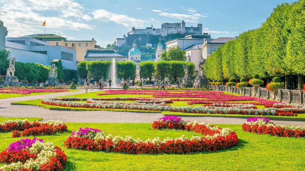 Buổi Chiều: Sống Lại Giai Điệu "The Sound of Music" & Thưởng Thức Văn Hóa Cà Phê
