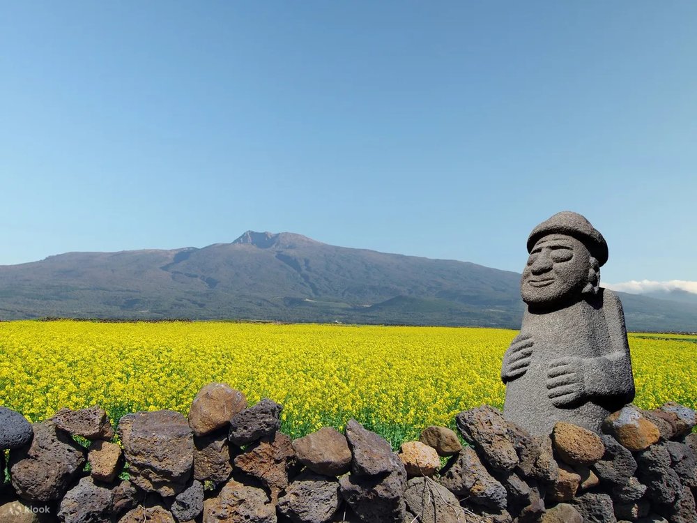 Khám Phá Hang Động Manjanggul Và Thiên Nhiên Jeju