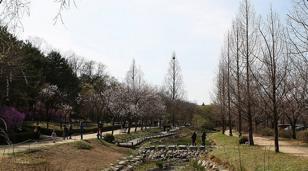  Vườn Thực Vật Mulhyanggi Arboretum (Osan)