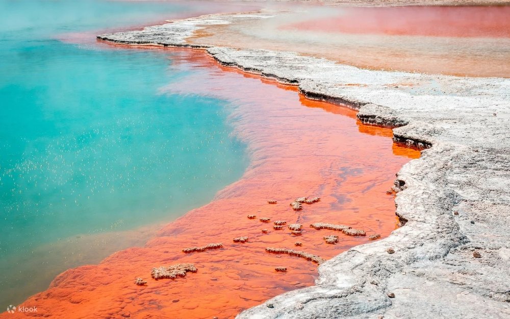 Wai-O-Tapu Thermal Wonderland – Khám Phá Suối Nước Nóng Và Hồ Bùn Sôi