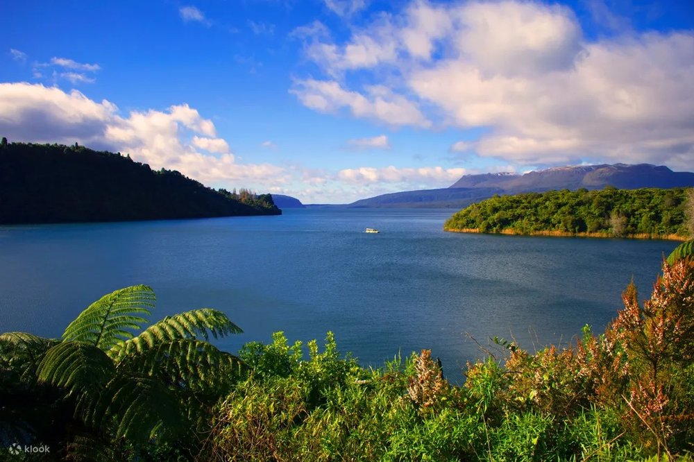 Hồ Rotorua – Tham Gia Chèo Thuyền Kayak Và Dạo Bờ Hồ