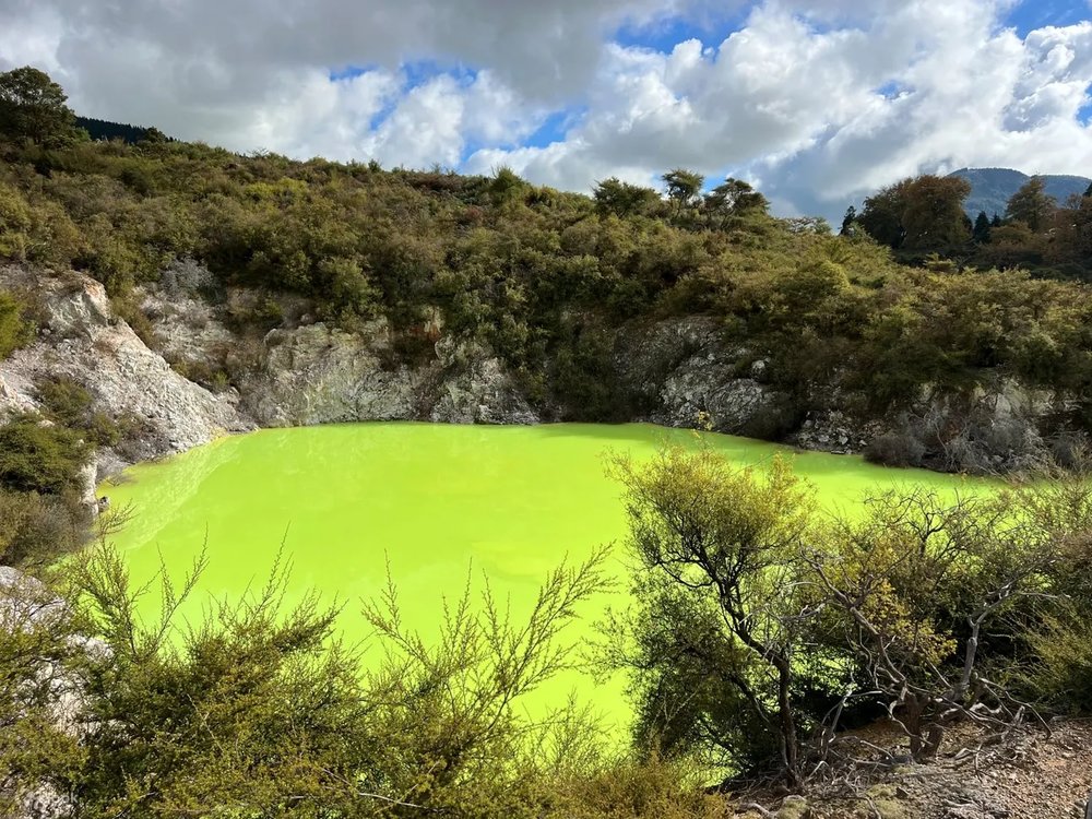  Rừng Redwood – Đi Bộ Trên Các Cây Cầu Treo Giữa Rừng