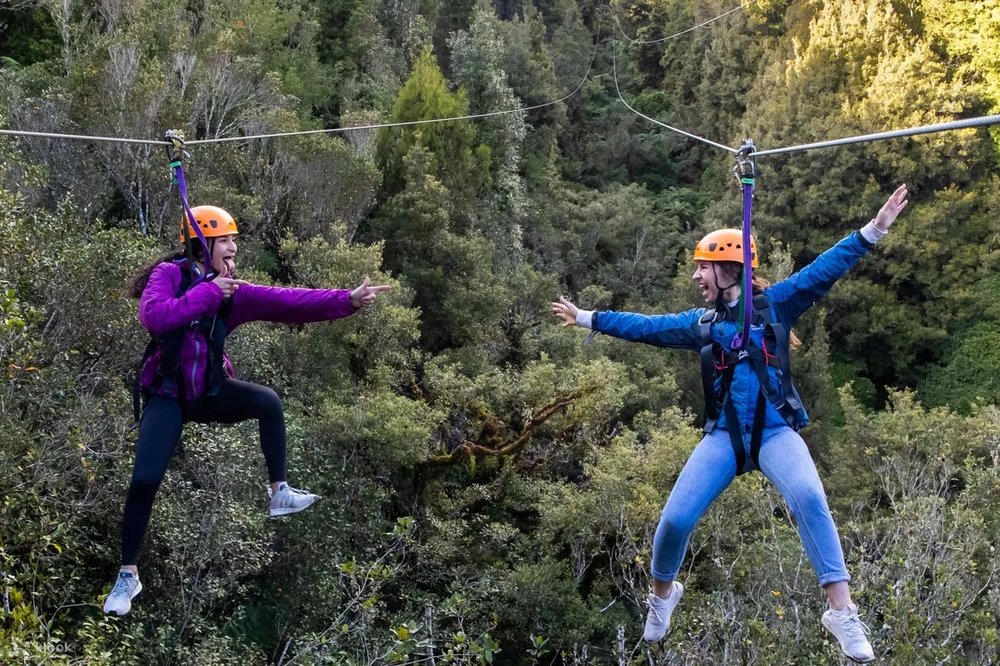 Bay Trên Dây Treetops Zipline Tại Ōkoheriki