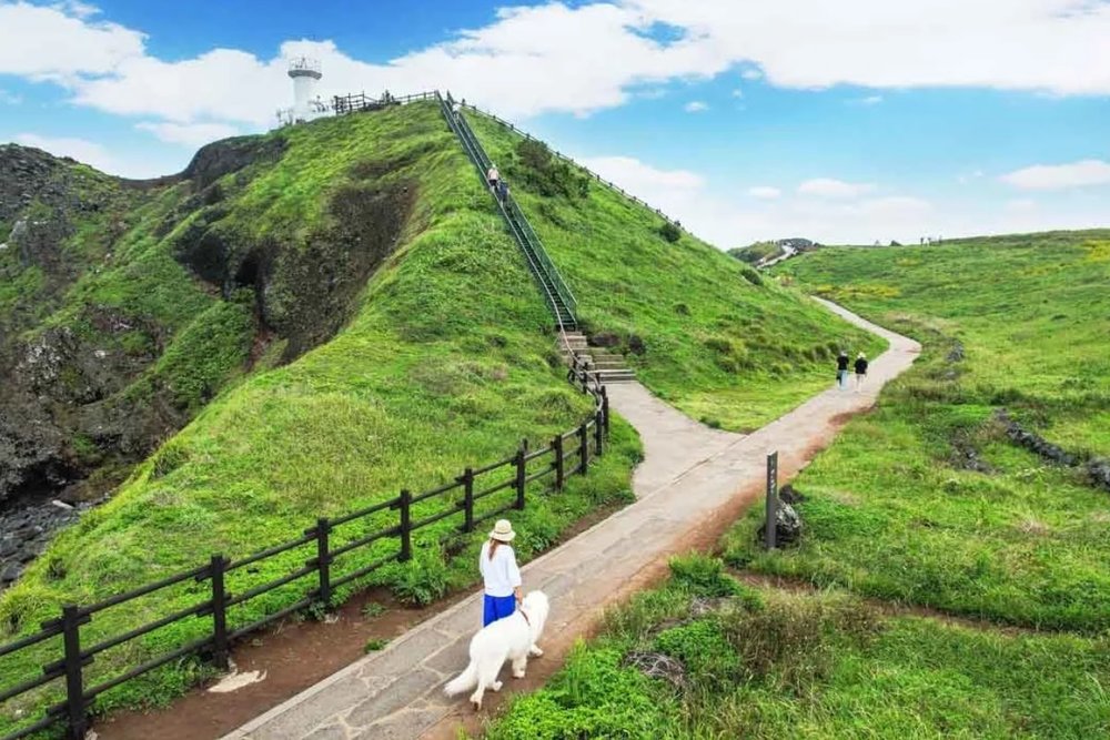 Seopjikoji - "Thánh Địa" Lãng Mạn Bước Ra Từ Bộ Phim "All In"