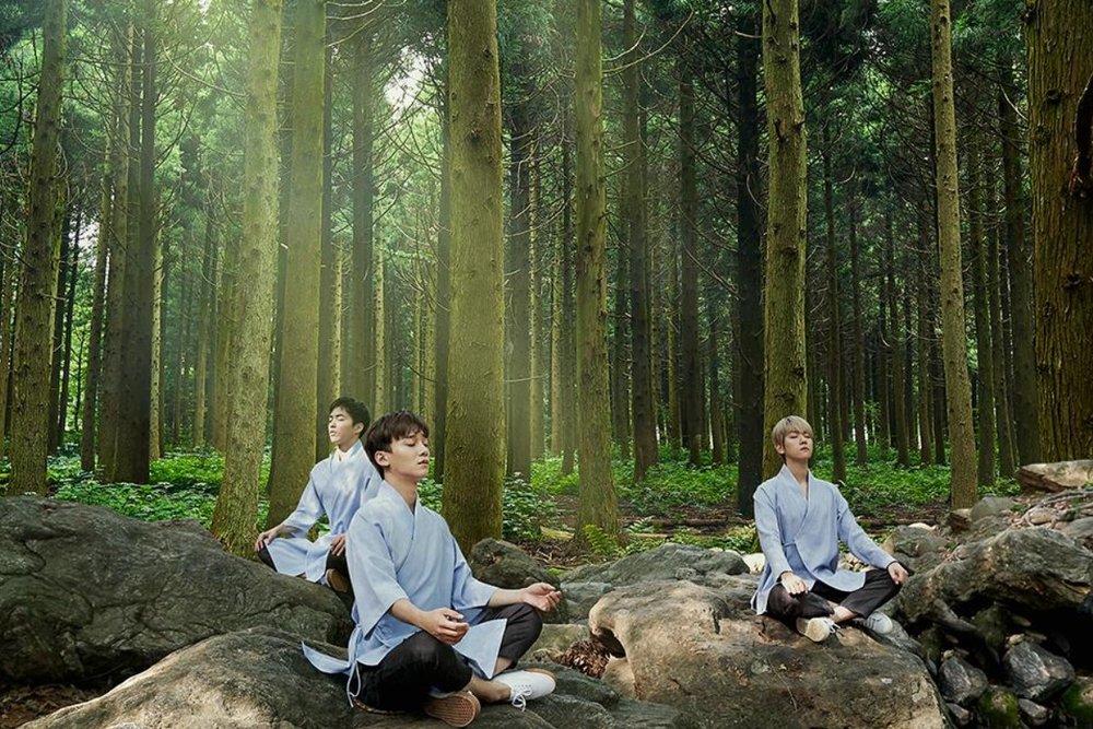Rừng Saryeoni - Con Đường Huyền Bí Trong "Khu Vườn Bí Mật"