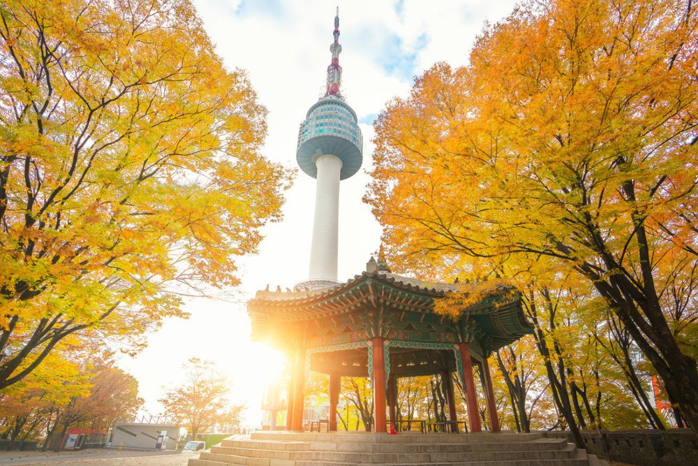 Tour Đi Tháp N Seoul, Cung Điện Hoàng Gia Và Chợ Đêm Ẩm Thực