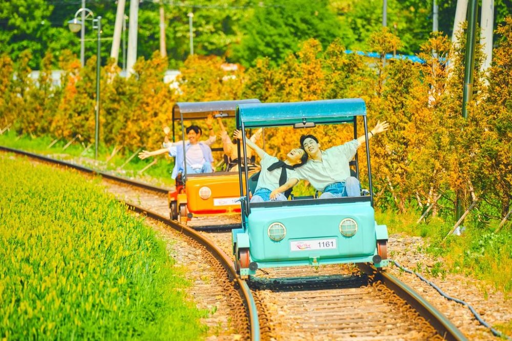 Tour Ngày Tham Quan Đảo Nami, Petite France, Garden of Morning Calm Và Gangchon Rail Bike
