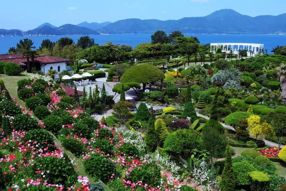 Tour Tham Quan Đặc Biệt Đảo Oedo Một Ngày Khởi Hành Từ Busan 