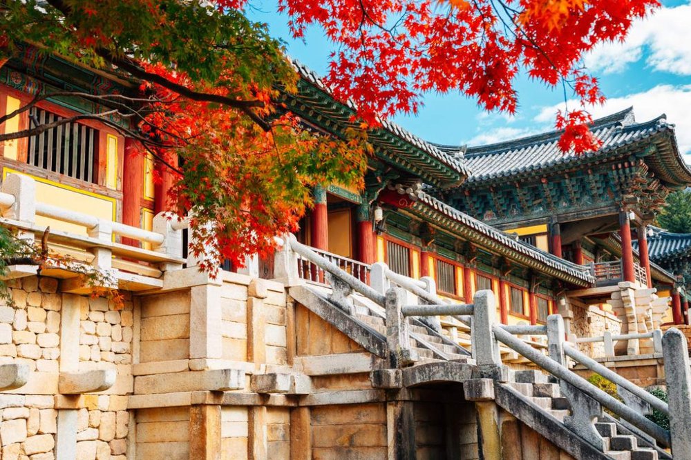 Tour Ngày Khu Di Sản Thế Giới UNESCO Gyeongju, Seokgulam, Bulguksa Temple Từ Busan 