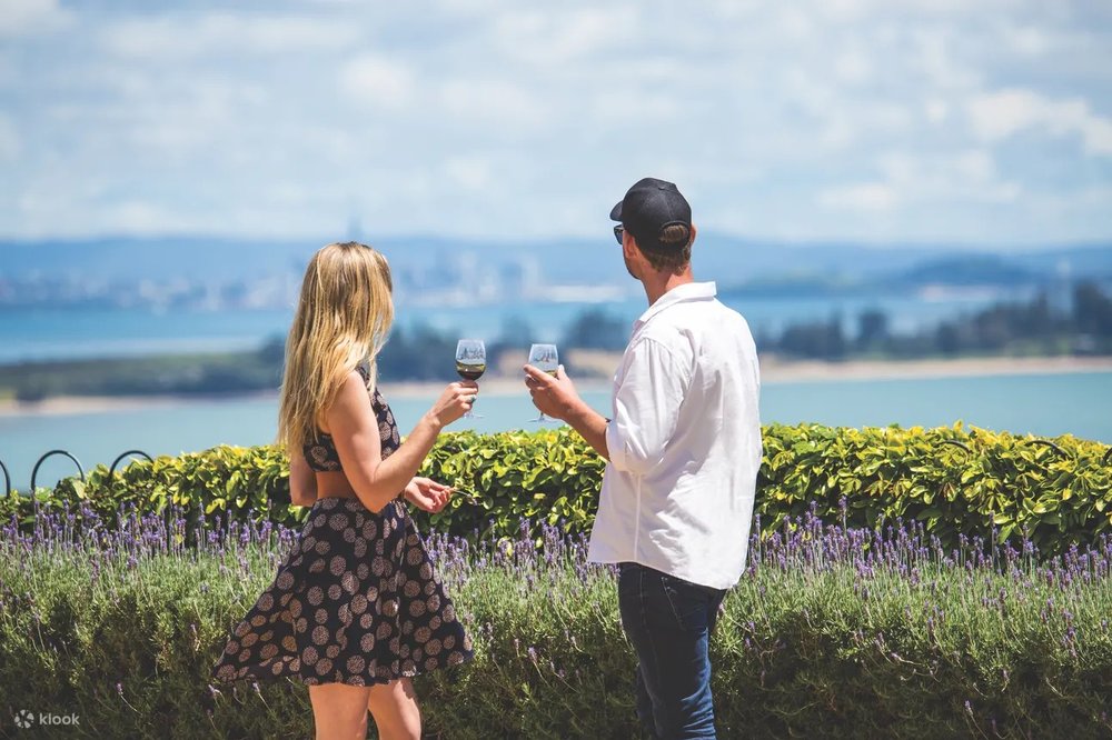 Ngày 2: Auckland – Núi Lửa Mt Eden, Đảo Waiheke, Làng Oneroa