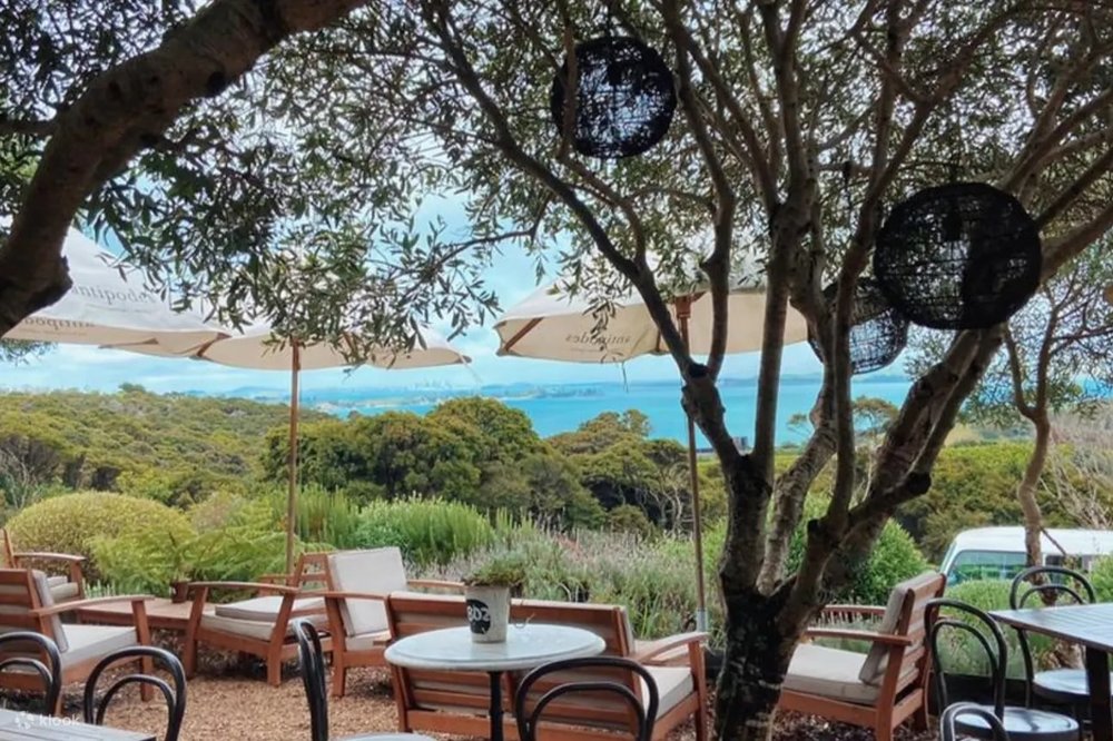 Ngày 2: Auckland – Núi Lửa Mt Eden, Đảo Waiheke, Làng Oneroa