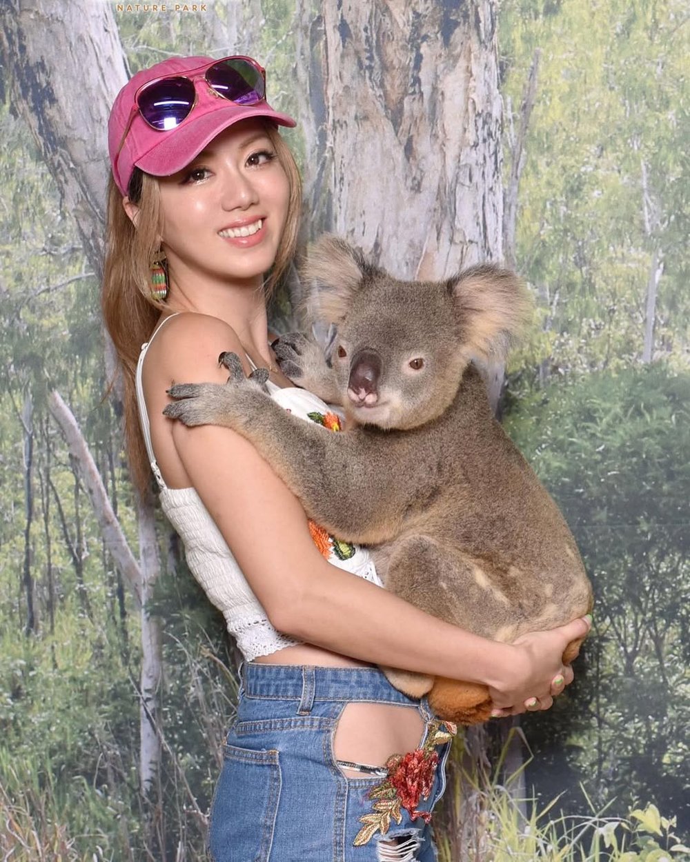 考拉野生動物園