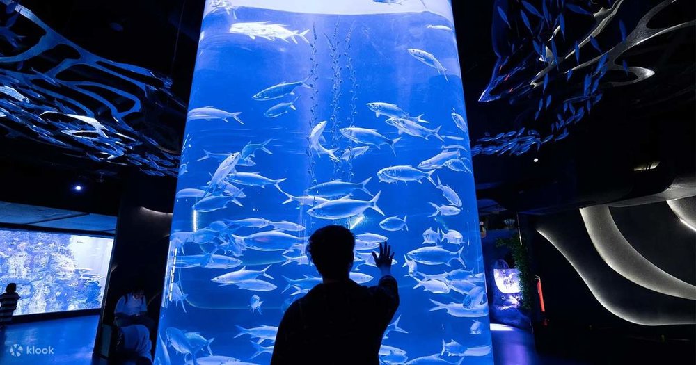 Jakarta AQuarium Safari