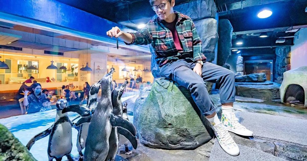 Jakarta AQuarium Safari