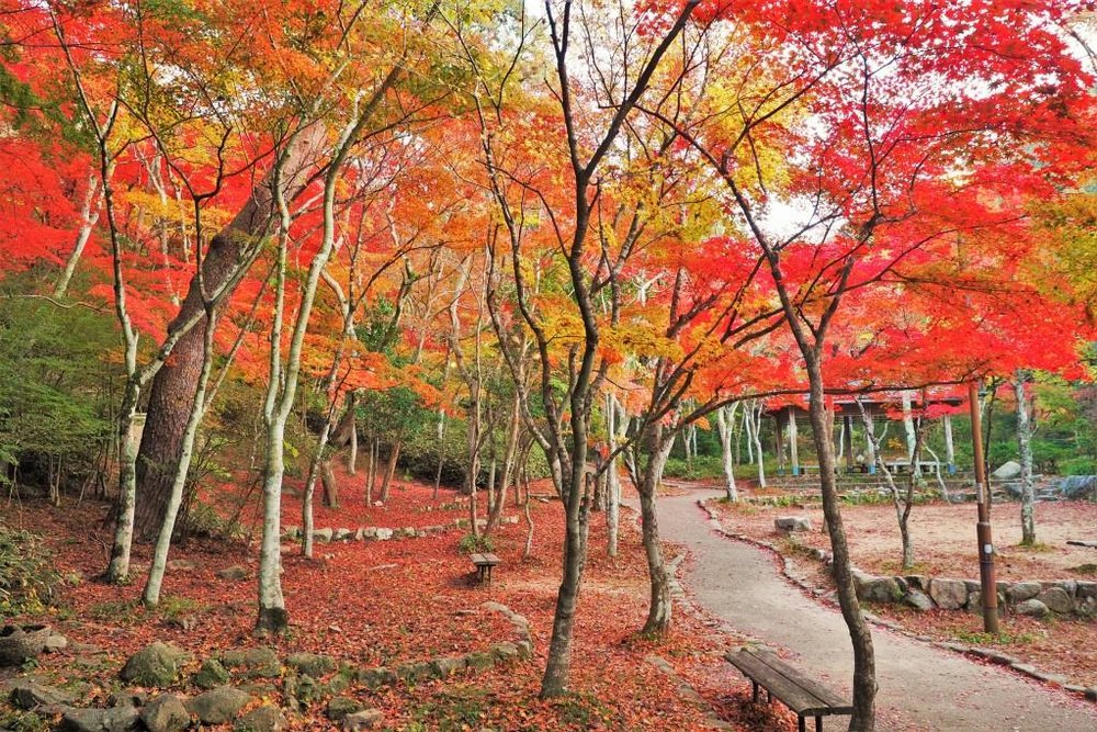 有馬溫泉, 有馬溫泉一日遊, 有馬溫泉景點, 有馬溫泉行程, 有馬溫泉攻略, 瑞寶寺公園