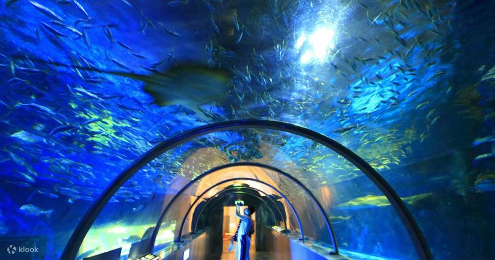 登別尼克斯海洋公園