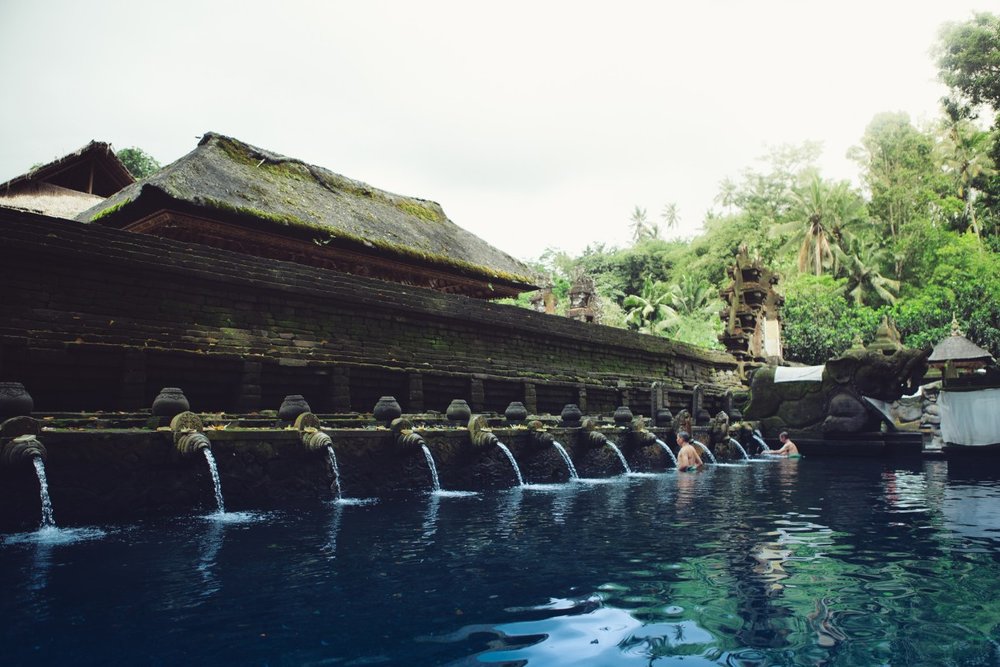 Rừng Khỉ Ubud – Vương Quốc Của Những "Cư Dân" Tinh Nghịch