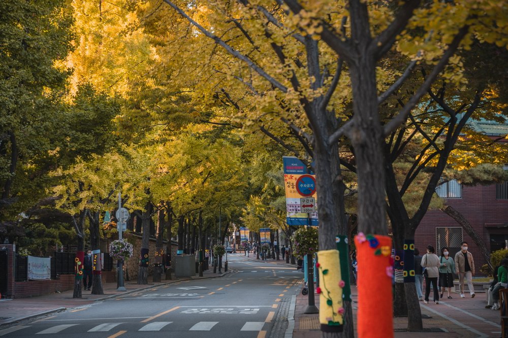  Công Viên Sinh Thái Gil-dong Seoul