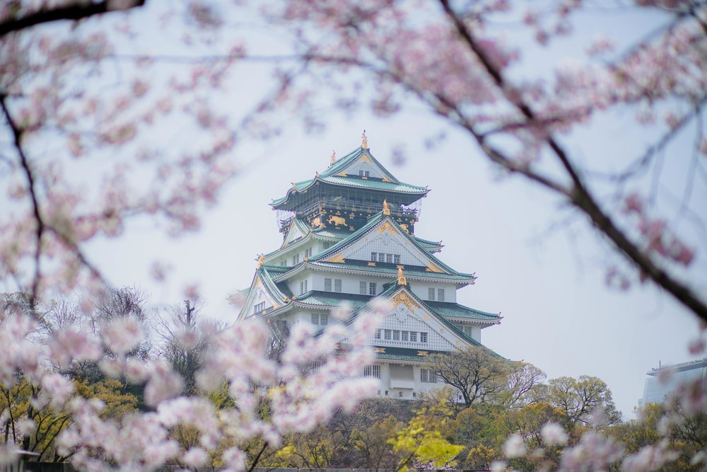 Osaka Castle during cherry blossom season | Photo Credit: Nguyễn Thanh Tùng on Pexels