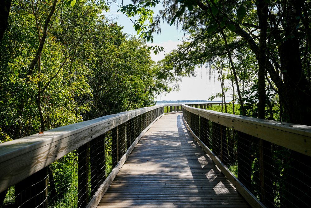 Boardwalk at Spring Hammock Preserve 