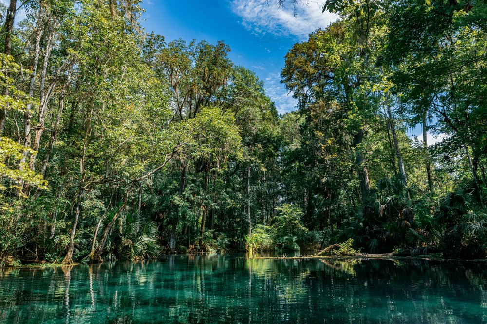 Alexander Springs in Florida 