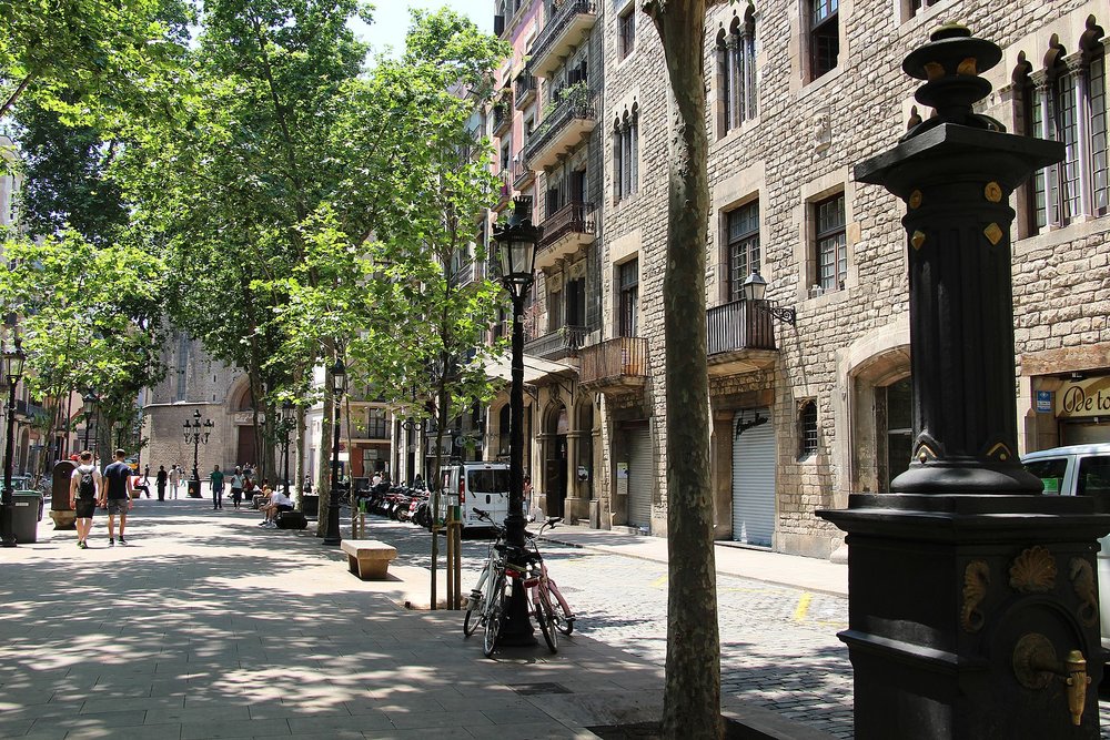 Tree-lined street in Barcelona Old Town with historic buildings and pedestrians