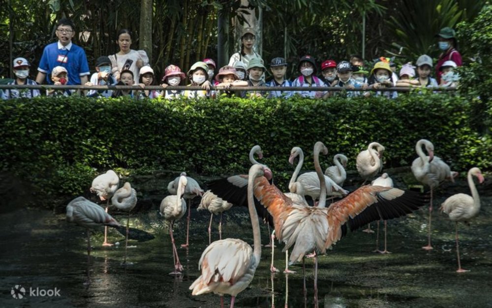  Nhà Văn Hóa Thanh Niên Thành Phố Hồ Chí Minh 