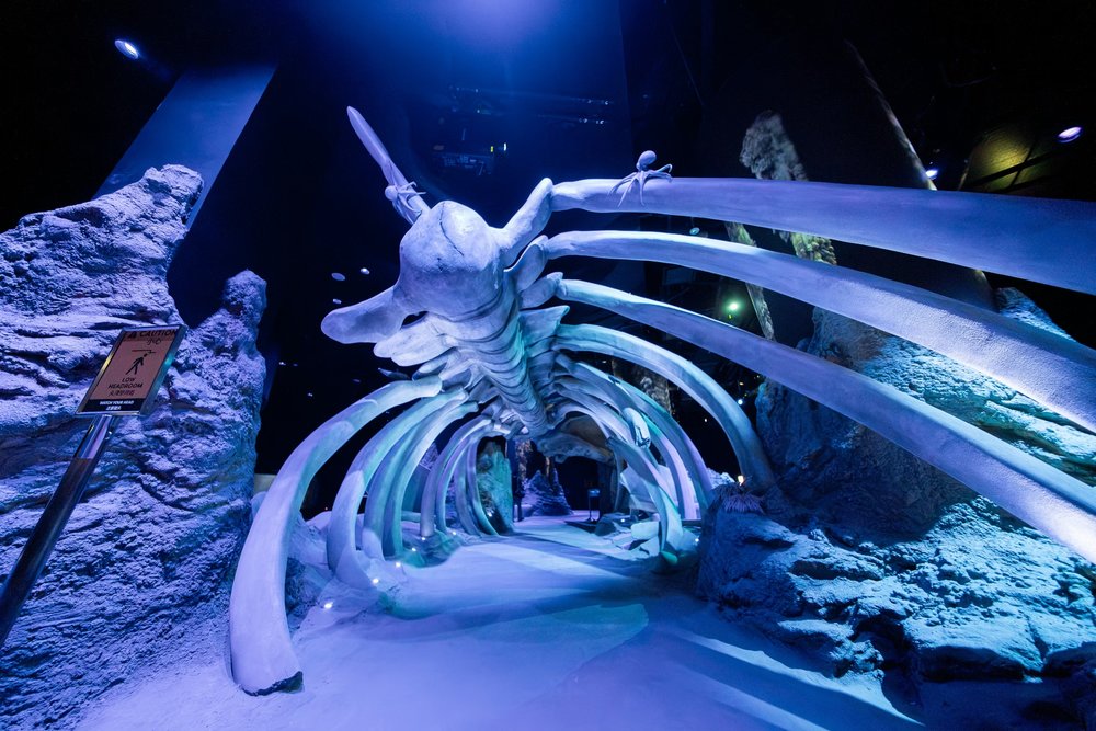 Singapore Oceanarium - Khám phá đại dương bao la