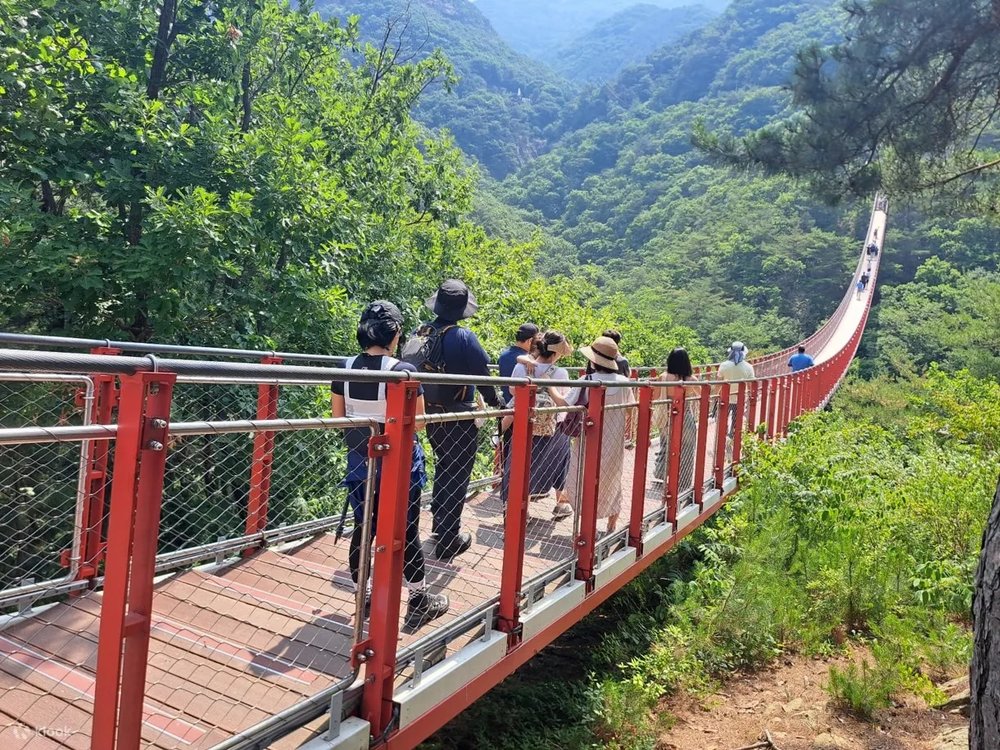 Red Suspension Bridge at Mt. Gamak  | Photo Credit: Klook