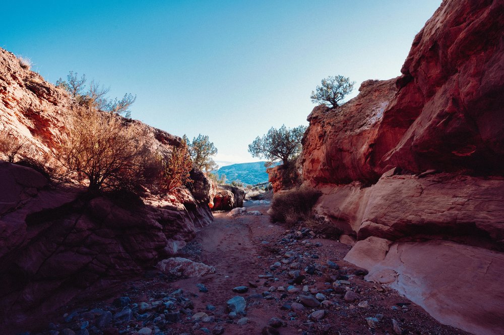 Narrow canyon trail with red rock walls along a hiking route near Las Vegas