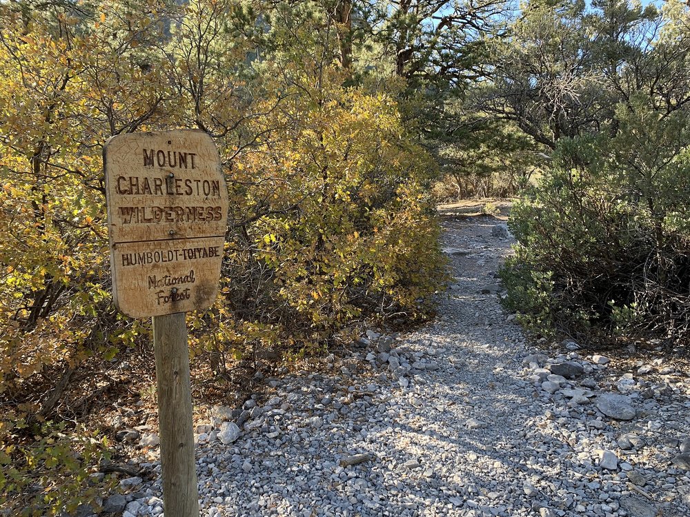 Trail entrance sign and forest path at Mount Charleston near Las Vegas