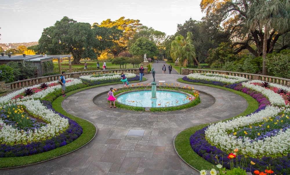 Royal Botanic Garden Sydney  | Photo Credit: Wikimedia Commons