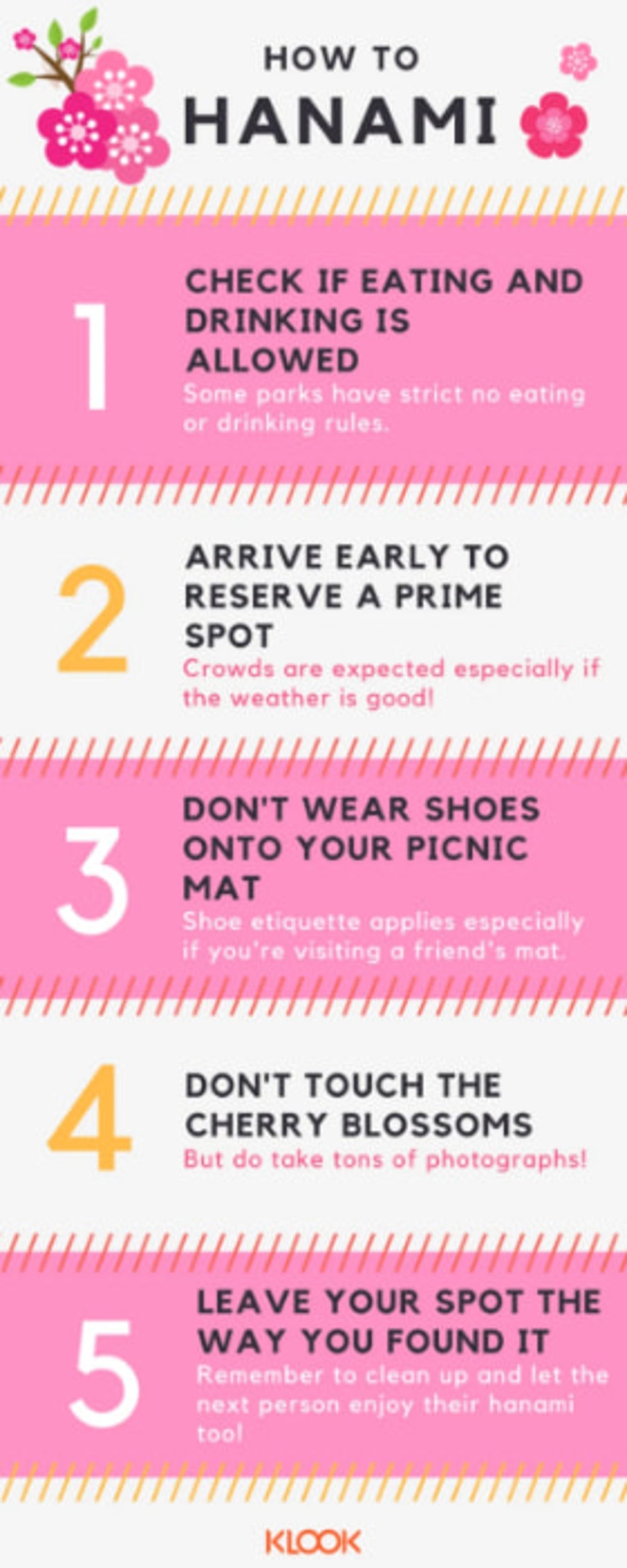 Tips on how to enjoy a hanami experience.