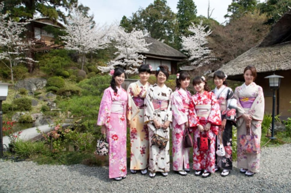 A group of women in kimonos posing with the cherry blossoms.