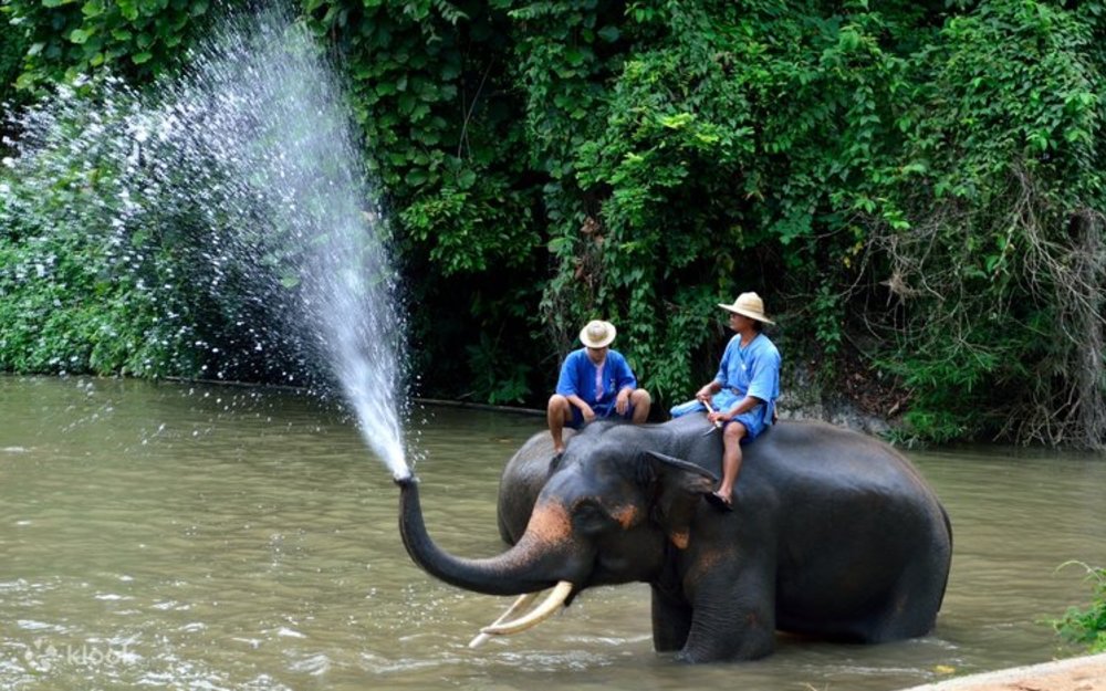 Di Chuyển Từ Chiang Mai Đến Lampang Bằng Tàu Hoặc Xe Riêng
