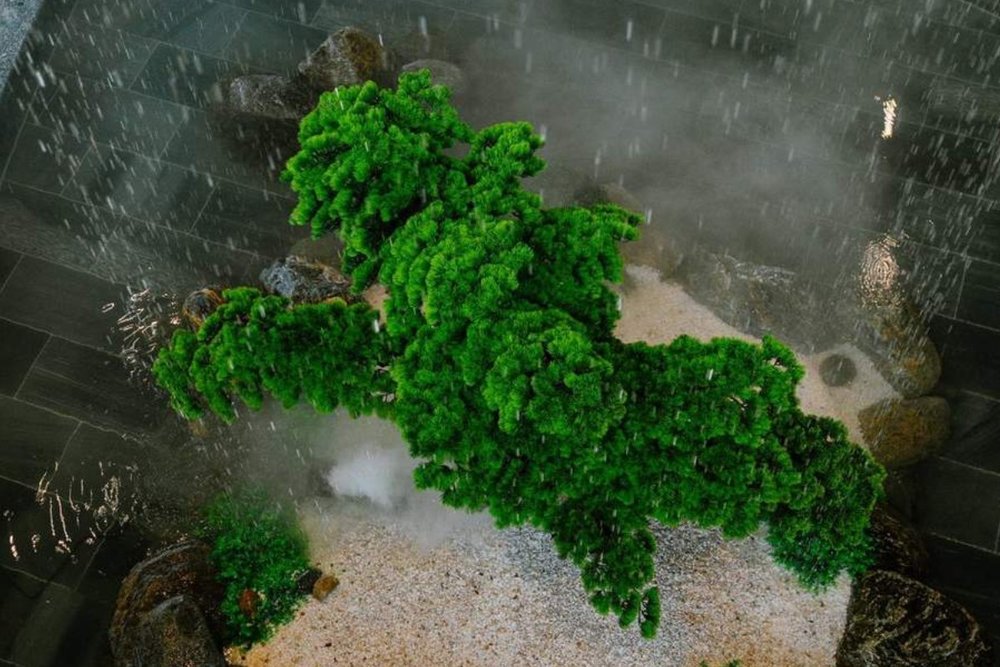 Trải Nghiệm Tắm Khoáng Nóng Onsen Khai Xuân Thanh Tịnh Tại Suối Mây Đà Lạt