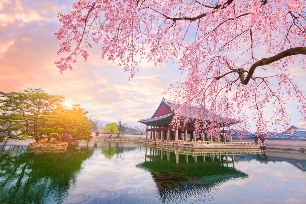 Gyeongbokgung Palace in the spring