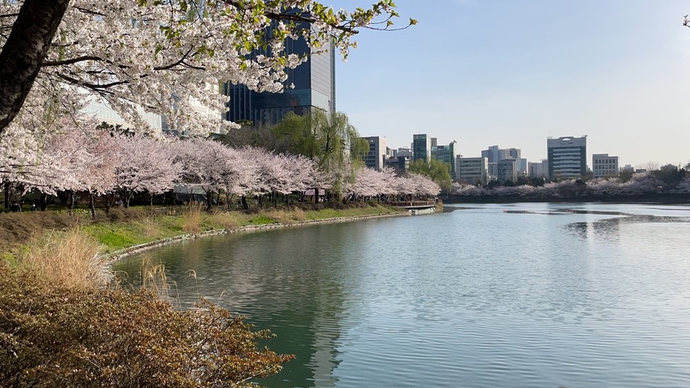 Peaceful walks in Seokchon Lake