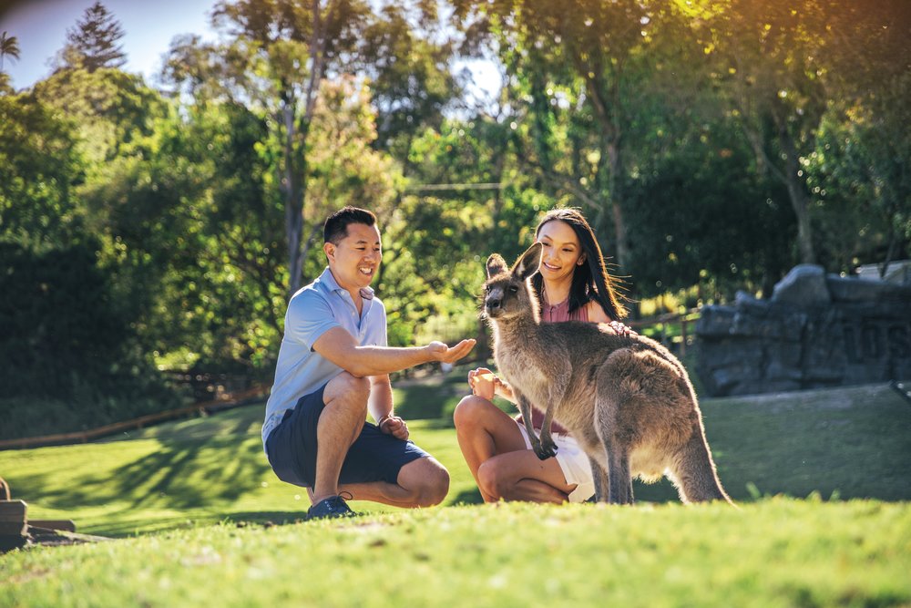 SG - Gold Coast 5 Days on the Open Road