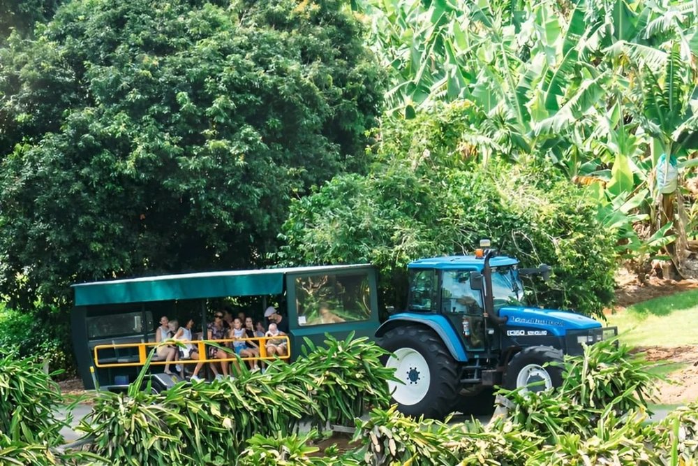 SG - Gold Coast 5 Days on the Open Road