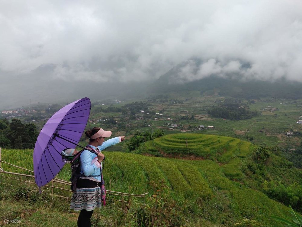 Trekking in Sapa’s rice terraces