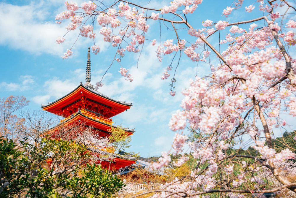 Chùa Kiyomizu-dera: Tuyệt Tác Gỗ Giữa Lưng Chừng Mây Của Cố Đô