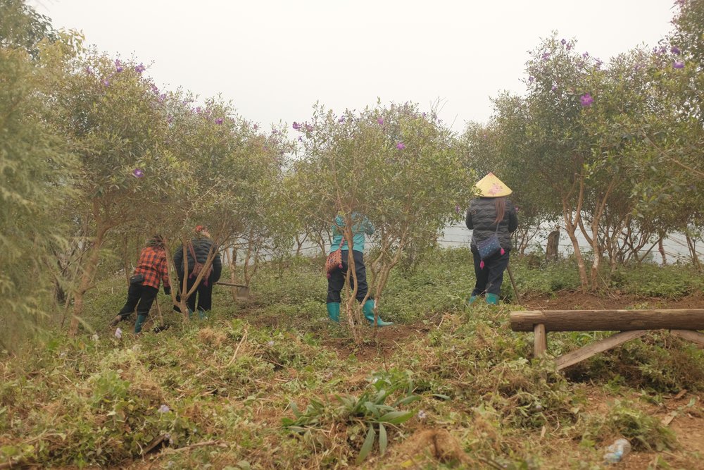 SG - 5D4N hanoi sapa ha long itinerary