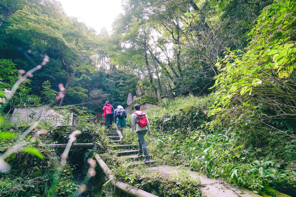 Hiking to Fushimi Inari Shrine  