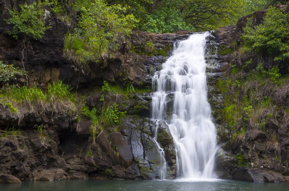 Waimea Falls waterfall surrounded by greenery along an easy hiking trail in Oahu