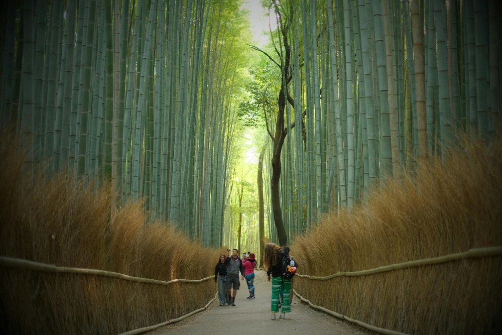 Tour "Xuyên Không" Cố Đô: Khám Phá Arashiyama, Fushimi Inari & Công Viên Nai Nara