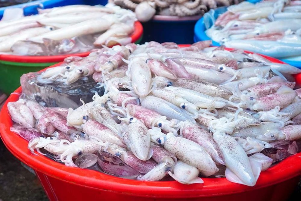 Chợ Bến Đá Vũng Tàu - Điểm Đến Của Những Mẻ Hải Sản Tươi Gốc Tại Cảng